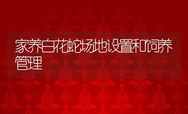 家养白花蛇场地设置和饲养管理 | 动物养殖饲料