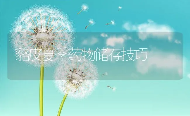 貉皮夏季药物储存技巧 | 动物养殖学堂