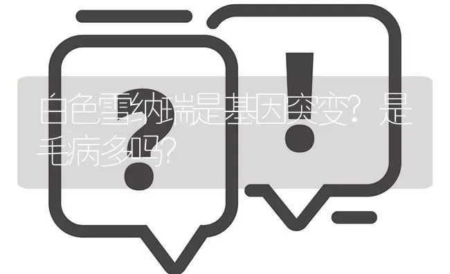 白色雪纳瑞是基因突变?是毛病多吗？ | 动物养殖问答