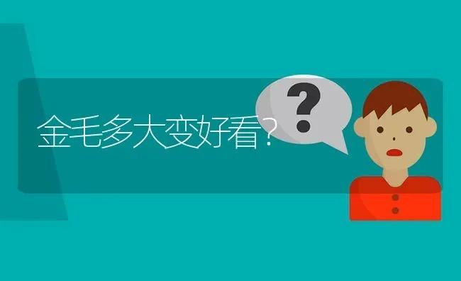 金毛多大变好看？ | 动物养殖问答