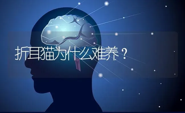 狗为什么吃葡萄？ | 动物养殖问答