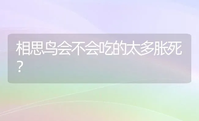 相思鸟会不会吃的太多胀死？ | 动物养殖问答