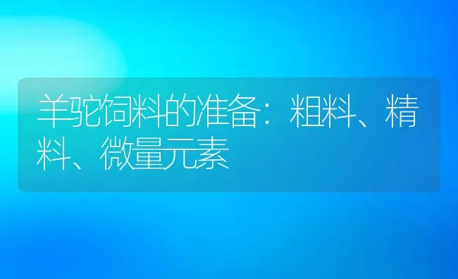 羊驼饲料的准备：粗料、精料、微量元素 | 动物养殖饲料