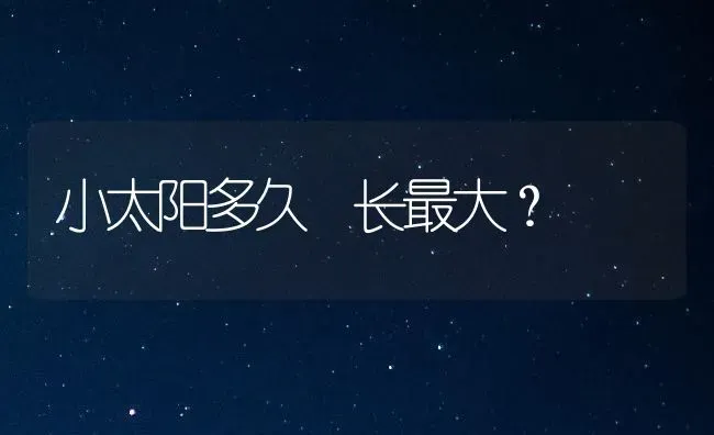 小太阳多久 长最大？ | 动物养殖问答