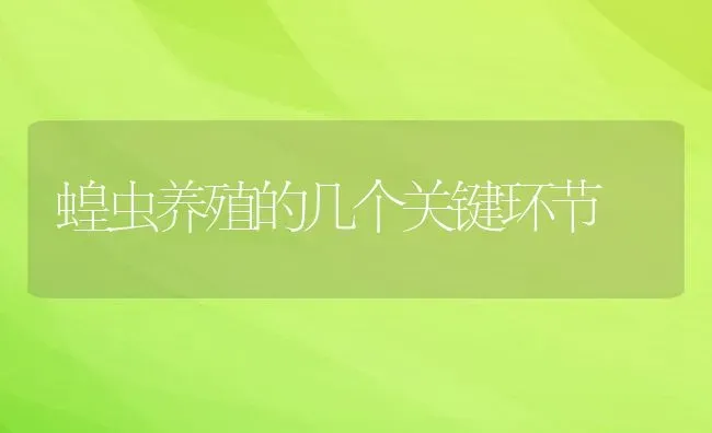 蝗虫养殖的几个关键环节 | 动物养殖教程