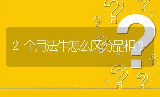 2个月法牛怎么区分品相？ | 动物养殖问答