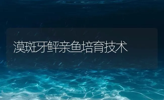 漠斑牙鲆亲鱼培育技术 | 海水养殖技术