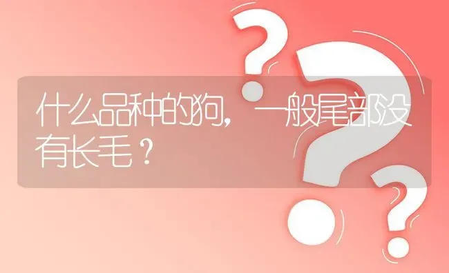 什么品种的狗，一般尾部没有长毛？ | 动物养殖问答