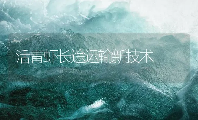 活青虾长途运输新技术 | 海水养殖技术