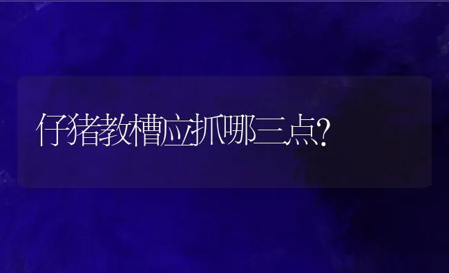 仔猪教槽应抓哪三点？ | 动物养殖饲料