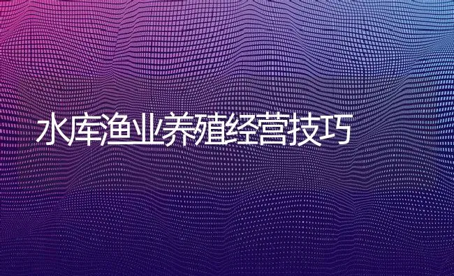 水库渔业养殖经营技巧 | 动物养殖饲料