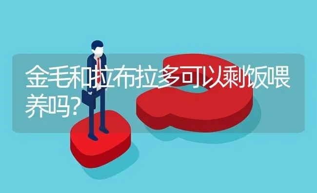 金毛和拉布拉多可以剩饭喂养吗？ | 动物养殖问答