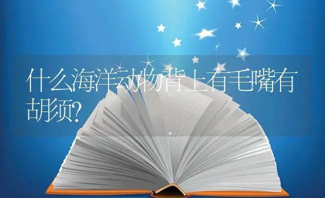 什么海洋动物背上有毛嘴有胡须？ | 鱼类宠物饲养