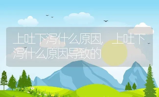 上吐下泻什么原因,上吐下泻什么原因导致的 | 宠物百科知识