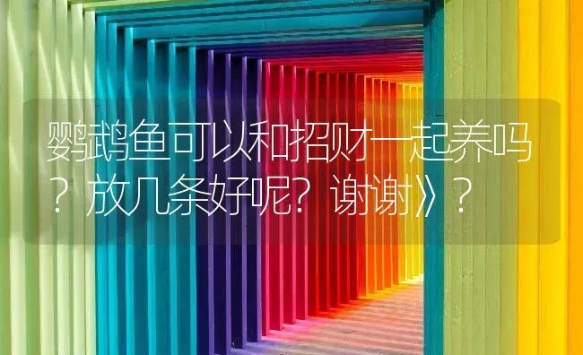 鹦鹉鱼可以和招财一起养吗？放几条好呢？谢谢》？ | 鱼类宠物饲养