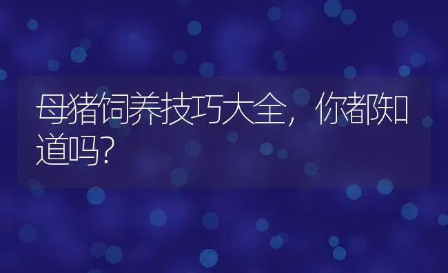 母猪饲养技巧大全，你都知道吗？ | 动物养殖百科