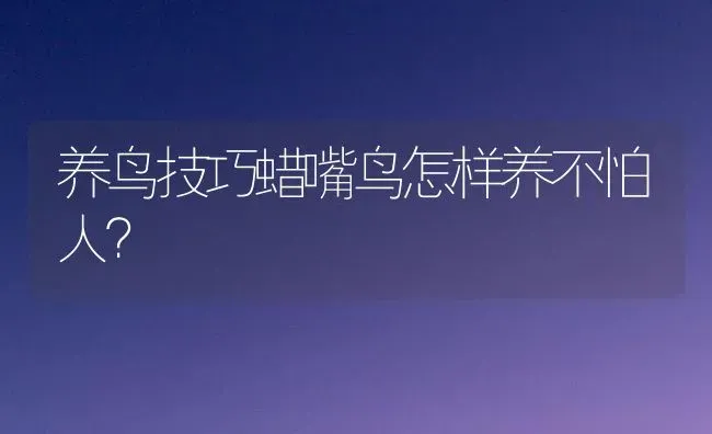 养鸟技巧蜡嘴鸟怎样养不怕人？ | 动物养殖问答