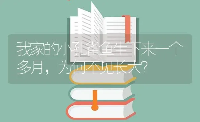 我家的小孔雀鱼生下来一个多月，为何不见长大？ | 鱼类宠物饲养