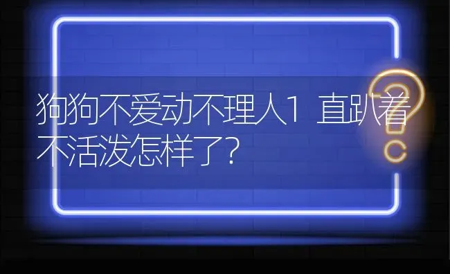 狗狗不爱动不理人1直趴着不活泼怎样了？ | 动物养殖问答