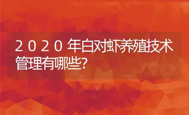 2020年白对虾养殖技术管理有哪些？ | 动物养殖百科