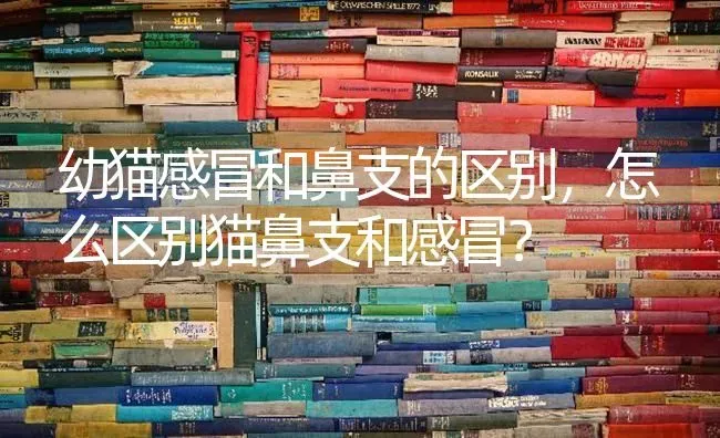 幼猫感冒和鼻支的区别，怎么区别猫鼻支和感冒？ | 动物养殖问答