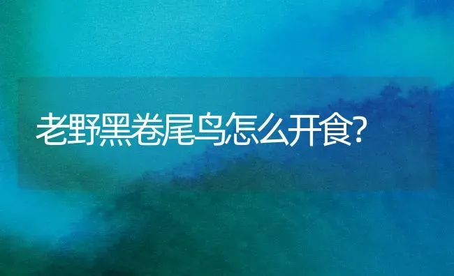 库伊拉为什么要杀斑点狗？ | 动物养殖问答