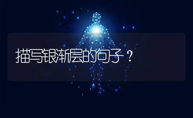 描写银渐层的句子？ | 动物养殖问答