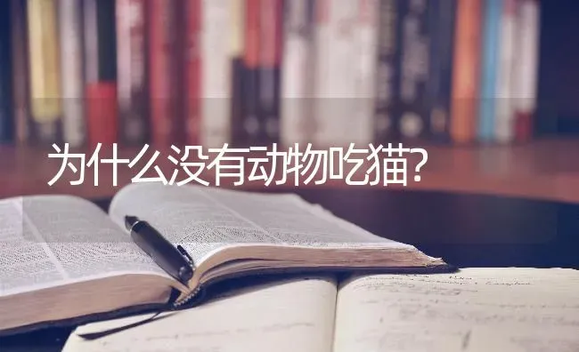 阿拉斯加几个月好养？ | 动物养殖问答