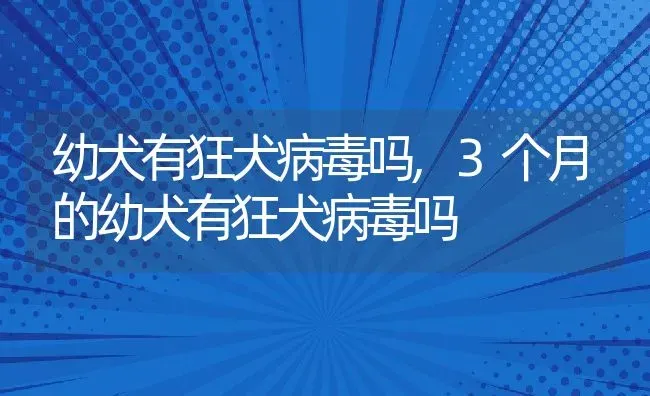 幼犬有狂犬病毒吗,3个月的幼犬有狂犬病毒吗 | 宠物百科知识