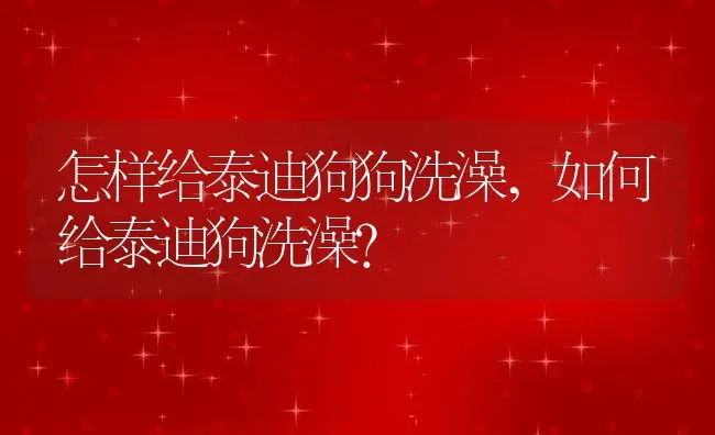 怎样给泰迪狗狗洗澡,如何给泰迪狗洗澡？ | 宠物百科知识