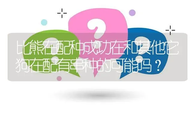 比熊在配种成功在和其他它狗在配有串种的可能吗？ | 动物养殖问答