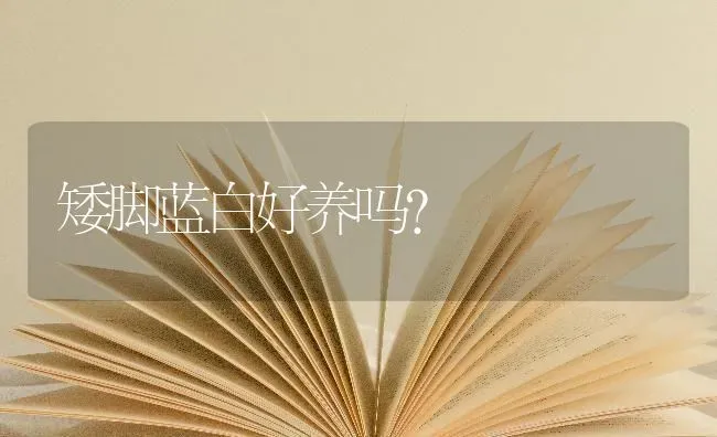 矮脚蓝白好养吗？ | 动物养殖问答