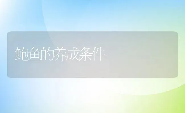 鲍鱼的养成条件 | 动物养殖教程