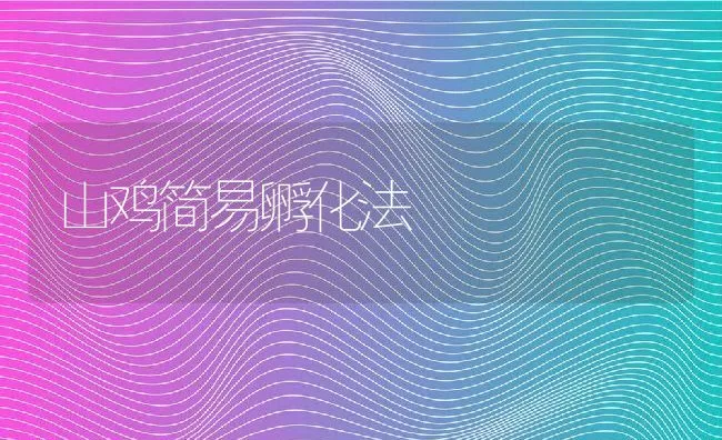 山鸡简易孵化法 | 动物养殖学堂