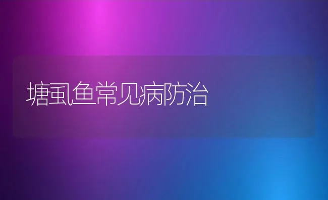 塘虱鱼常见病防治 | 水产养殖知识