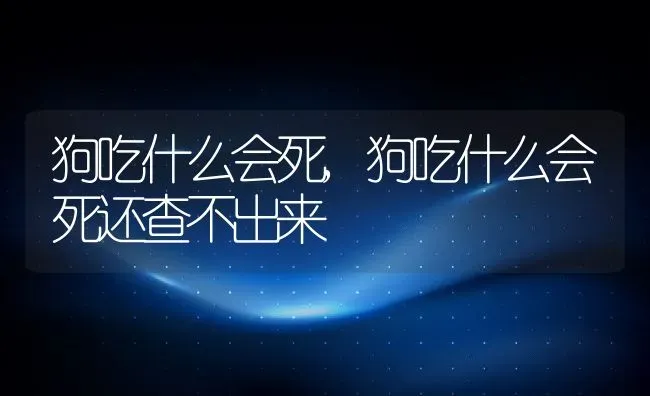 狗吃什么会死,狗吃什么会死还查不出来 | 宠物百科知识