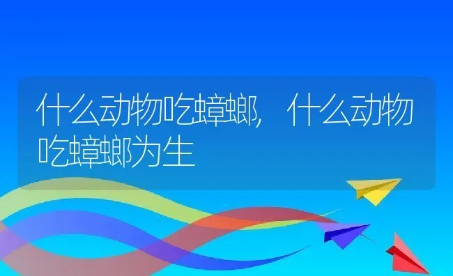 什么动物吃蟑螂,什么动物吃蟑螂为生 | 宠物百科知识