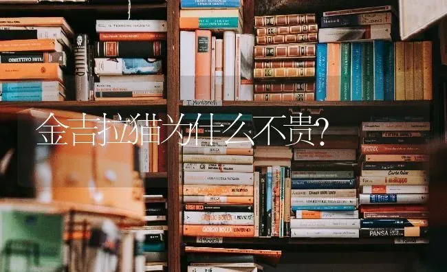 我家狗狗老是点头，是怎么回事？ | 动物养殖问答