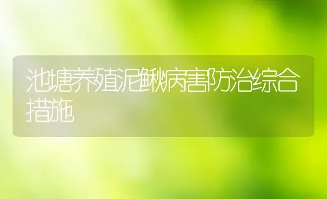 池塘养殖泥鳅病害防治综合措施 | 动物养殖教程