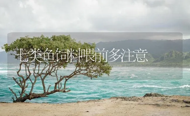 黄颡鱼的亲鱼来源与选择 | 海水养殖技术