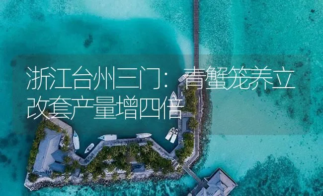 浙江台州三门：青蟹笼养立改套产量增四倍 | 海水养殖技术