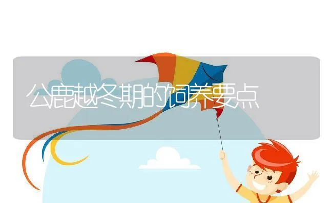 公鹿越冬期的饲养要点 | 动物养殖学堂