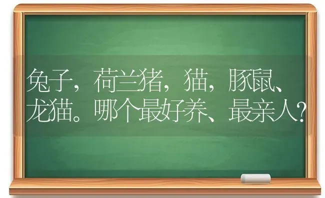 红面蛋龟怎么防止黑斑？ | 动物养殖问答