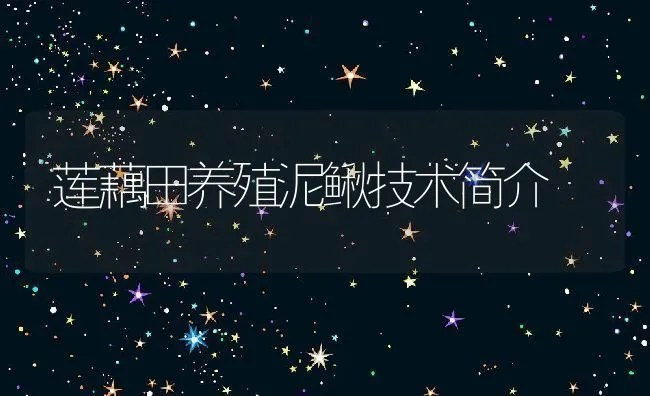 莲藕田养殖泥鳅技术简介 | 动物养殖饲料