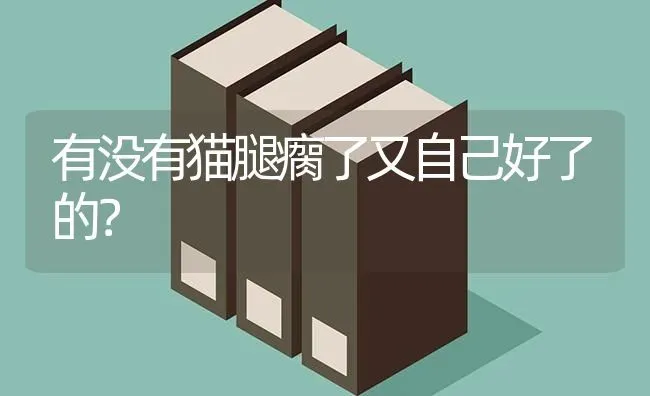 有没有猫腿瘸了又自己好了的？ | 动物养殖问答