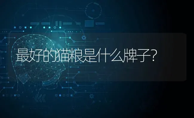 最好的猫粮是什么牌子？ | 动物养殖问答