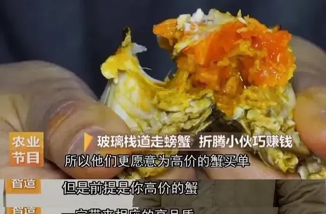 卢瀛峰靠“玻璃神器”卖大闸蟹财富逆袭