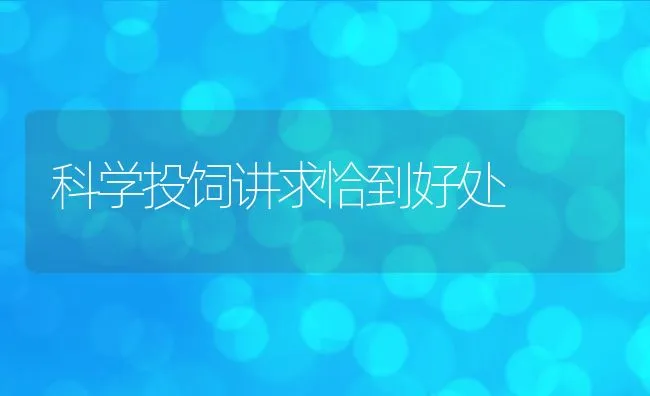 养殖鲍鱼疾病防治措施 | 海水养殖技术