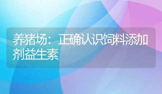 养猪场：正确认识饲料添加剂益生素 | 动物养殖饲料