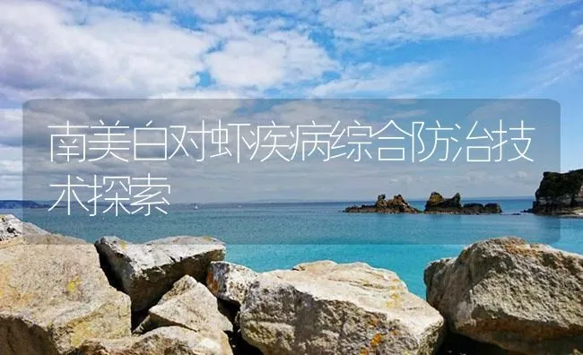 南美白对虾疾病综合防治技术探索 | 海水养殖技术